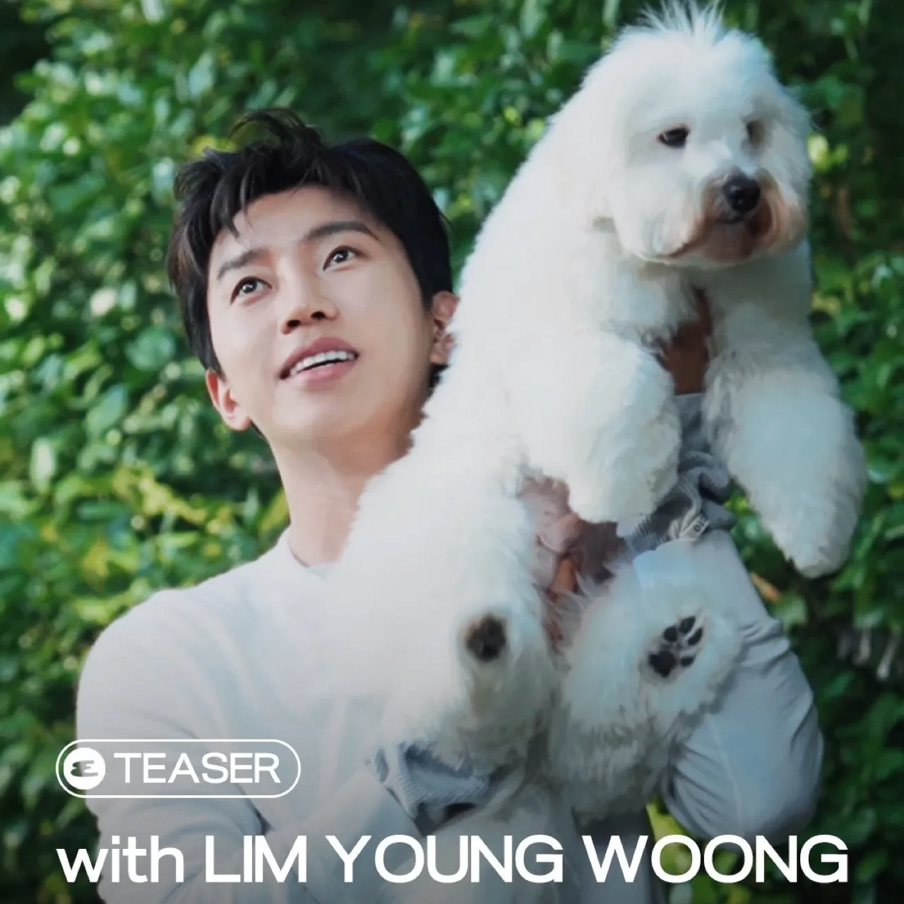 Momen yang diabadikan oleh penggemar Lim Youngwoong