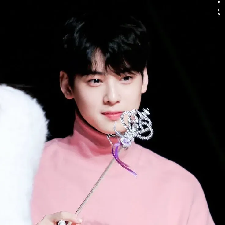 Recent activity shot of Cha Eunwoo