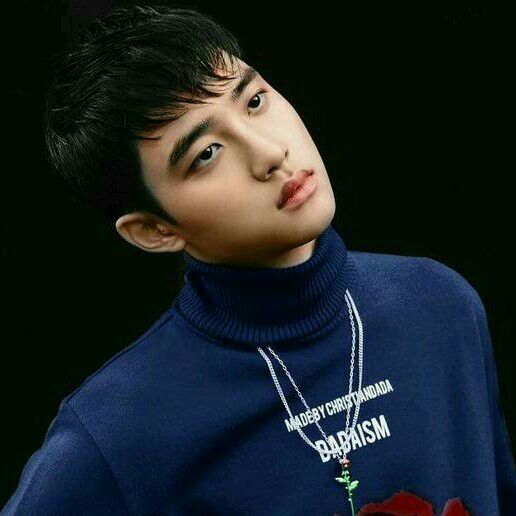 도경수 (디오) 팬이 찍은 순간