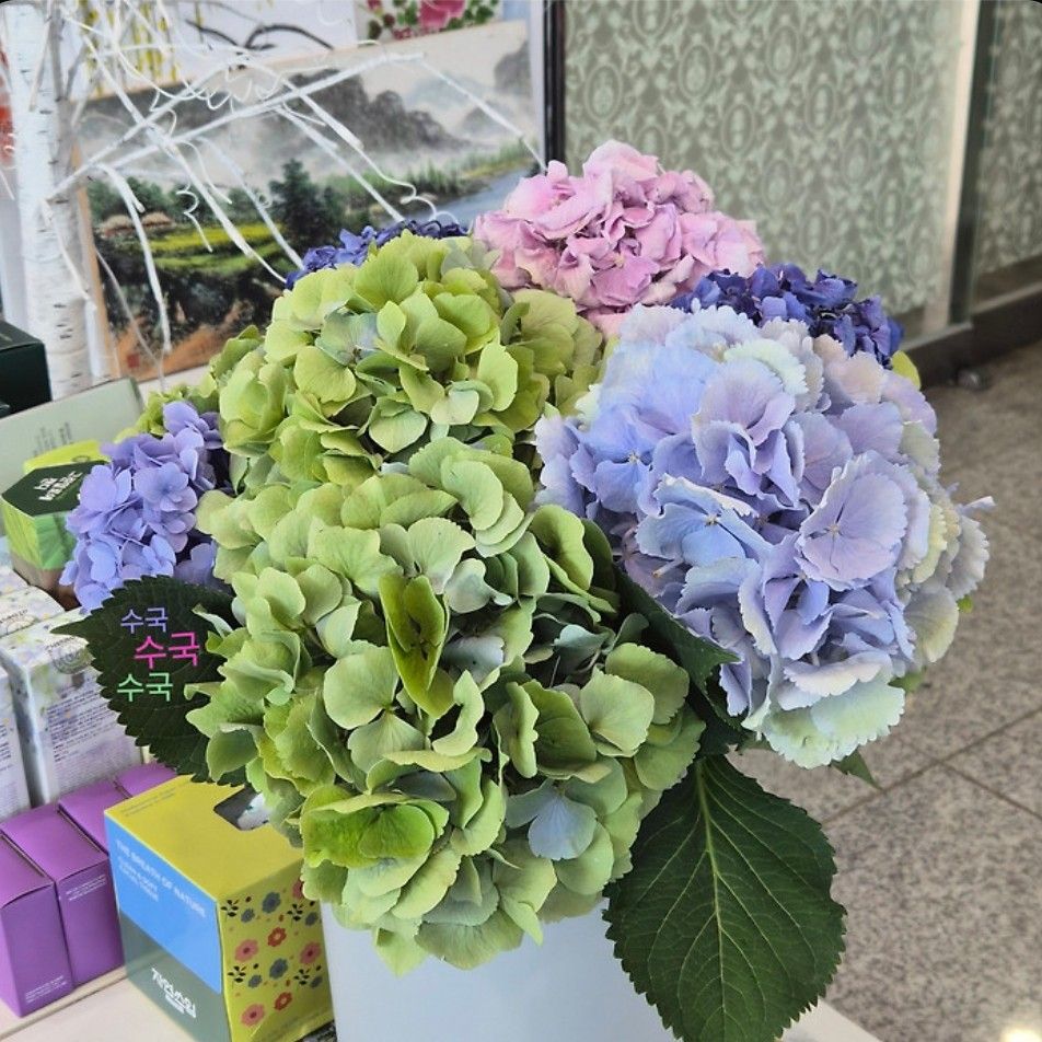 金浩中的幕后花絮
