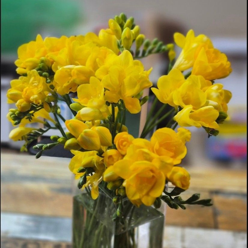 Cuplikan di balik layar dari Kim Hojoong