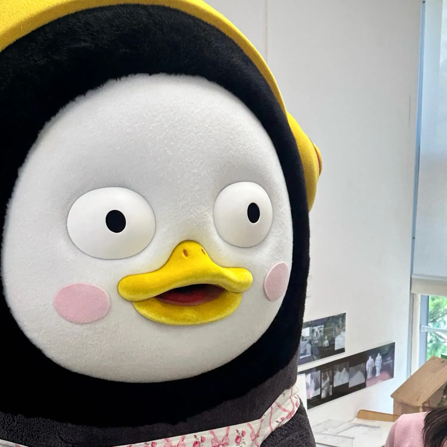 ファンが撮影したペンスの瞬間