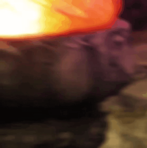 Recent activity shot of Dylan Wang