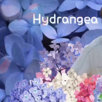 김선호의 비하인드 컷