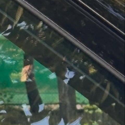 Latest photo of Park Seoham