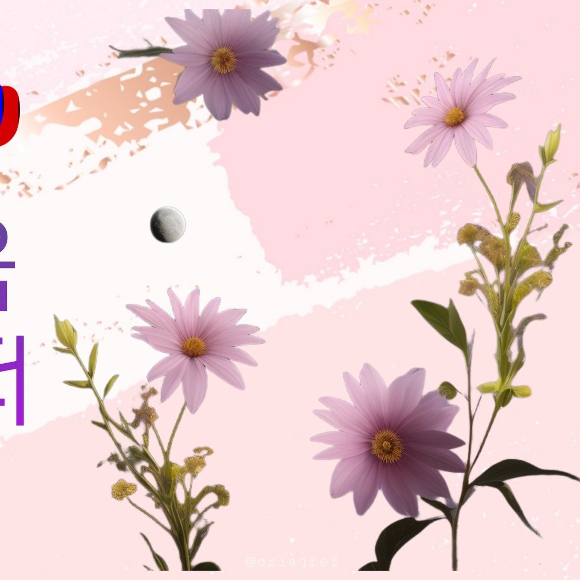 Foto terbaru dari Park Sewook