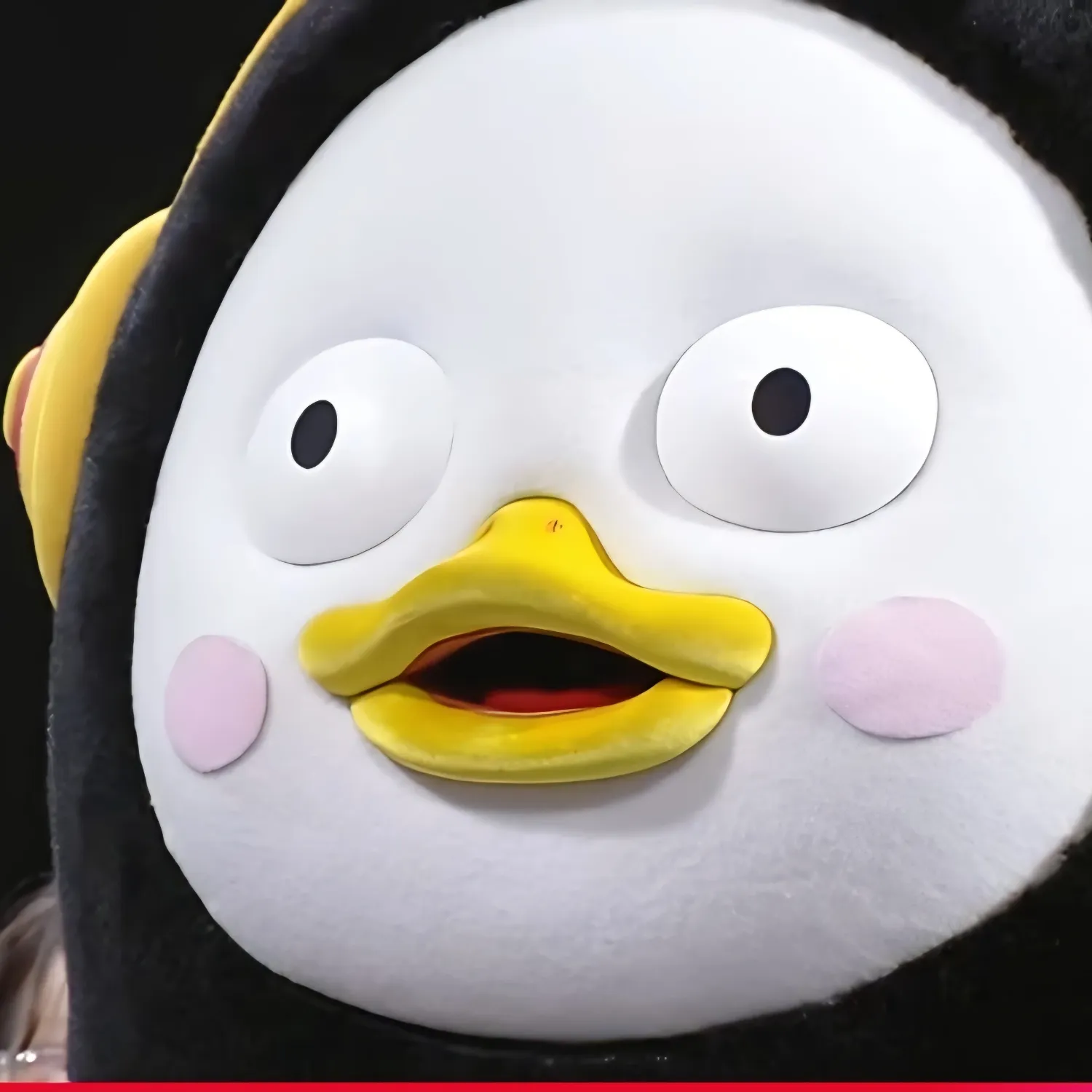 펭수의 최신 사진