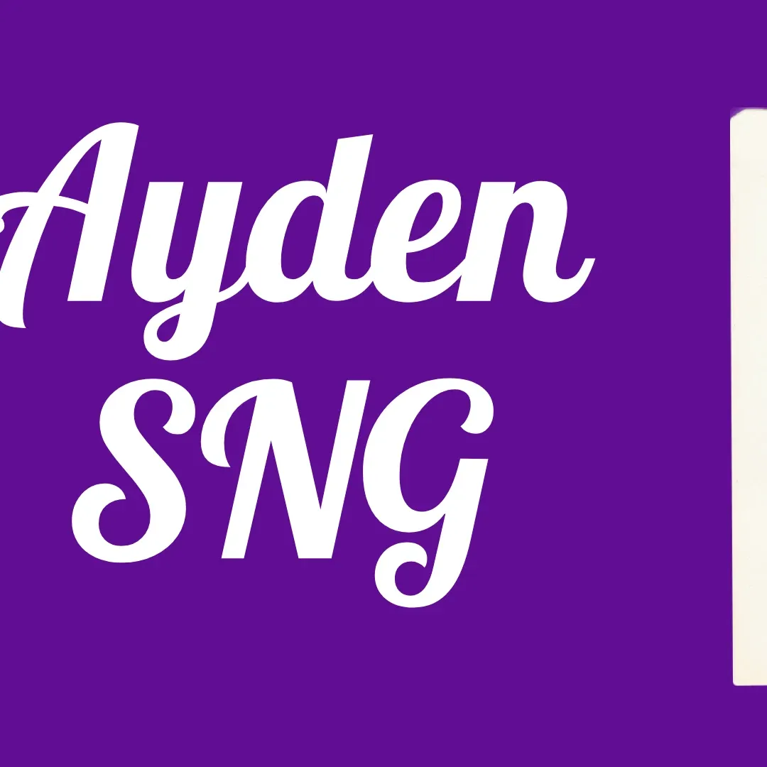 A moment captured by a fan of Ayden Sng