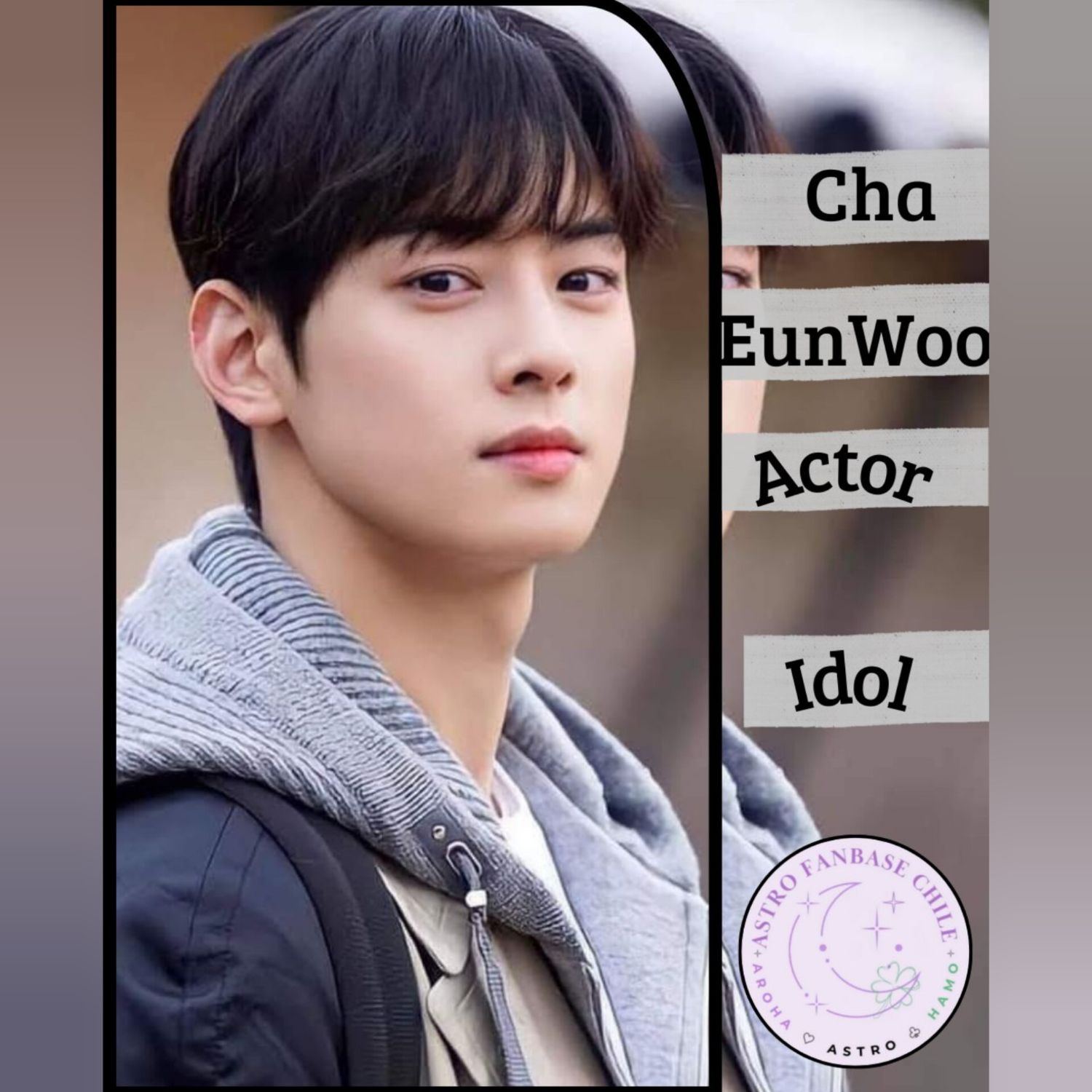 Recent activity shot of Cha Eunwoo