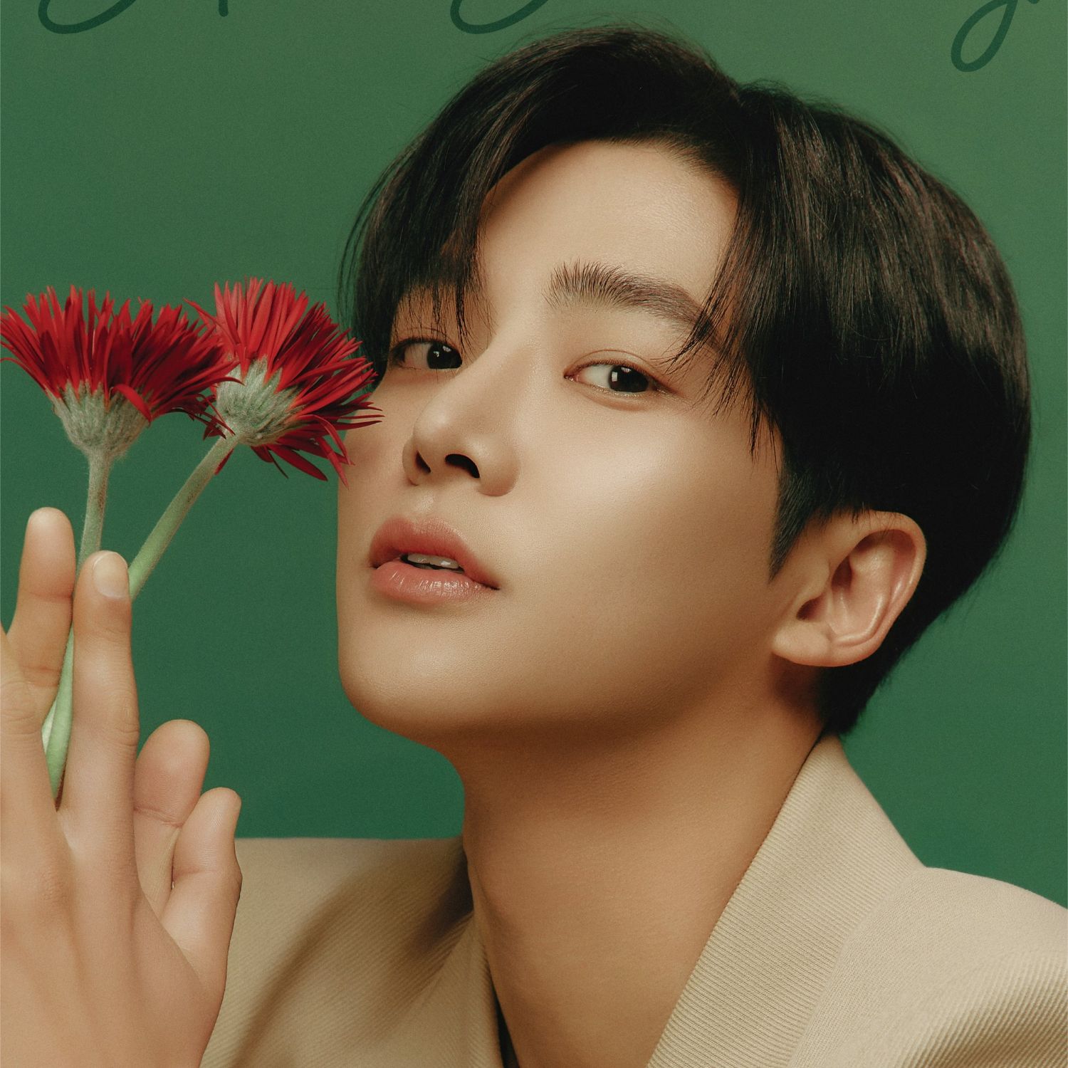 路雲的近期活動照