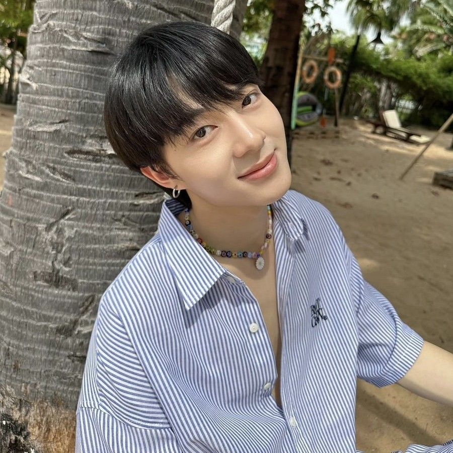 Recent activity shot of NuNew