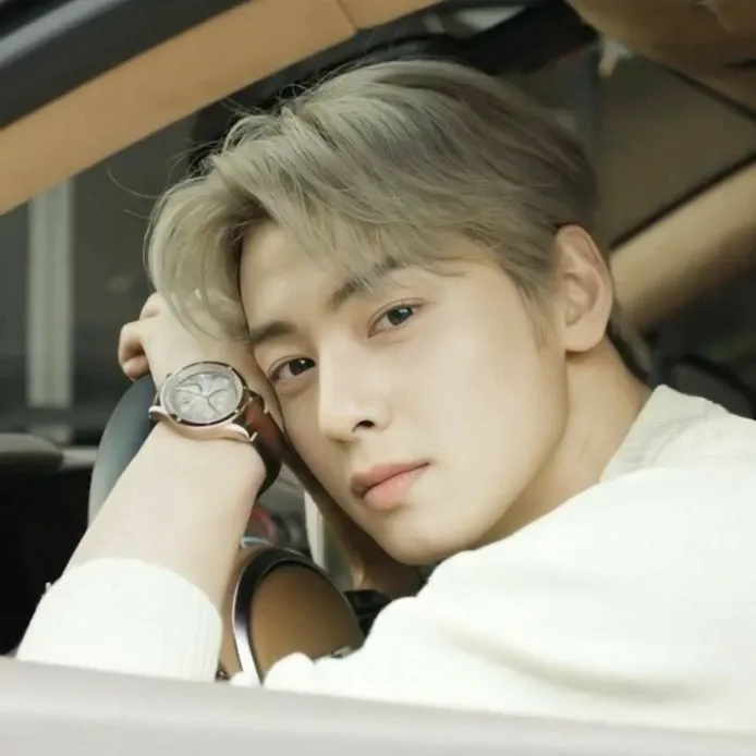 A moment captured by a fan of Cha Eunwoo