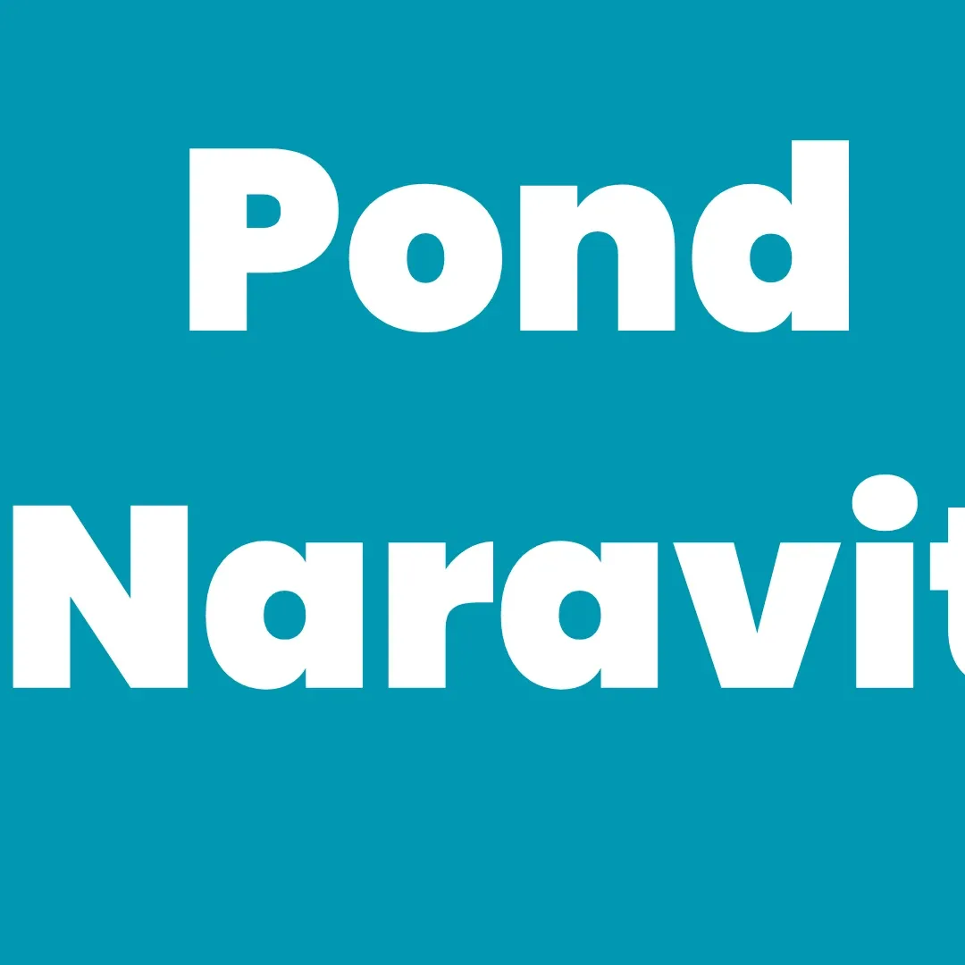 Behind-the-scenes cut of Pond Naravit Lertratkosum