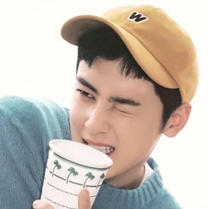 Recent activity shot of Cha Eunwoo