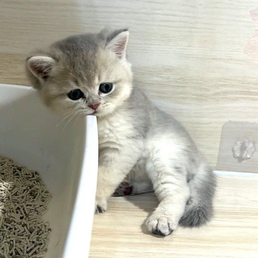 ド・ギョンス (ディオ)の最近の活動ショット