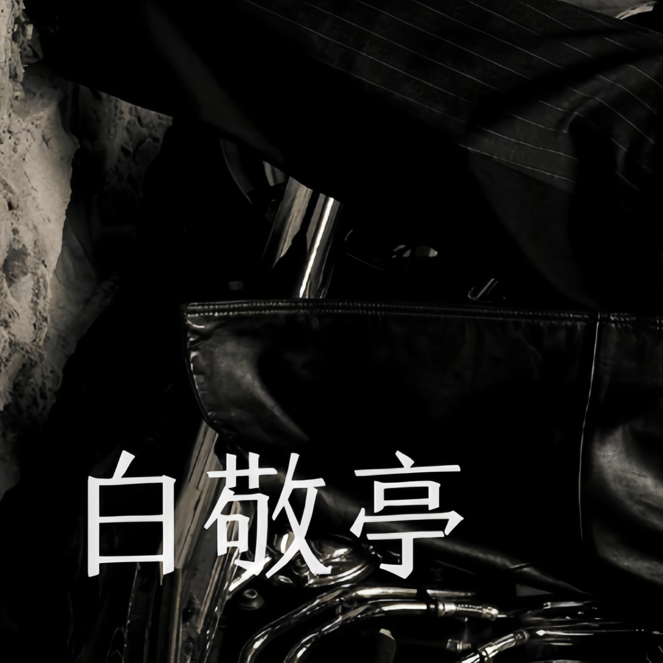 A moment captured by a fan of Bai Jingting