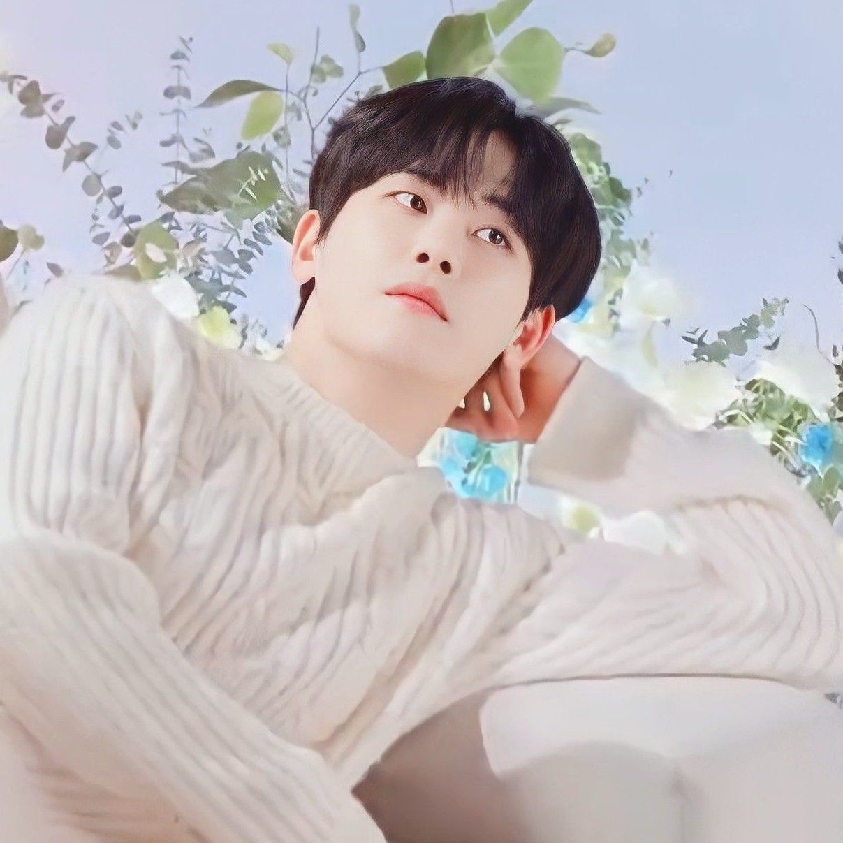 Recent activity shot of Hoya