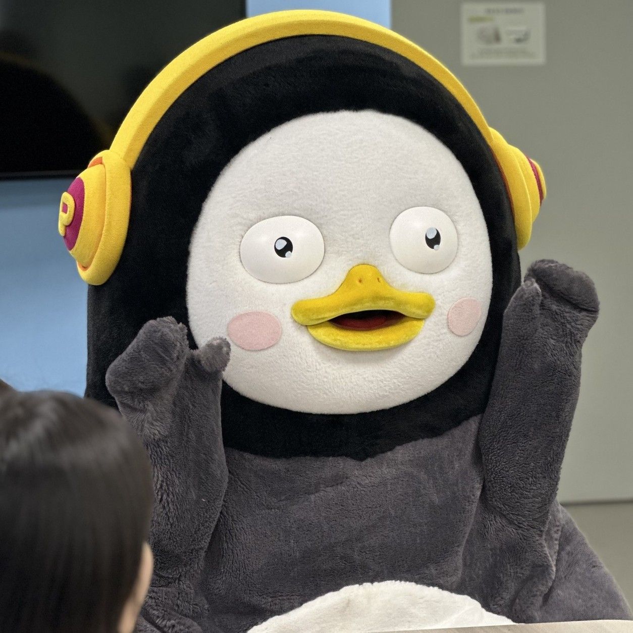 Recent activity shot of Pengsoo