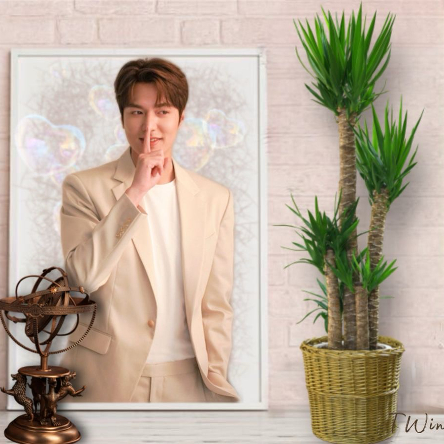 李敏鎬的最新照片