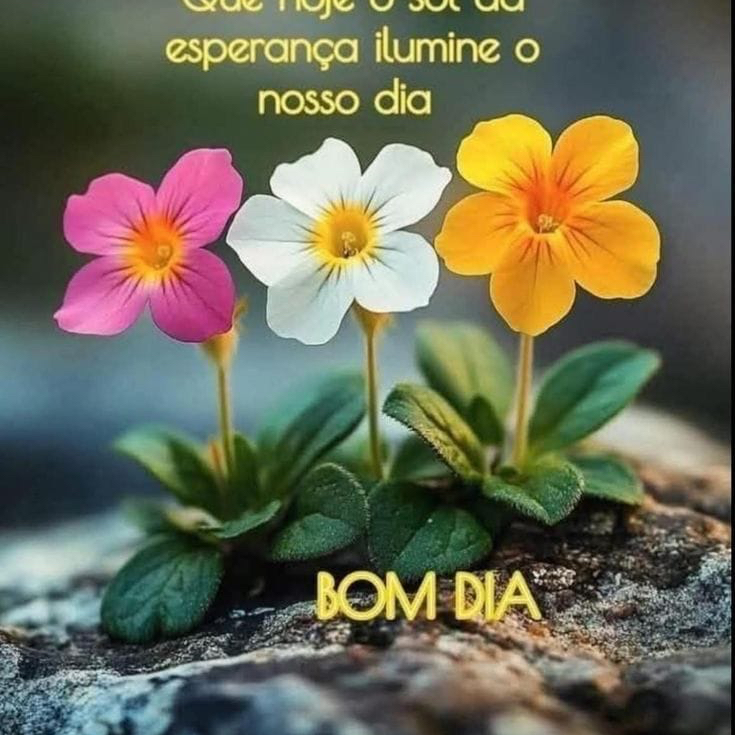 都暻秀 (D.O.)的最新照片