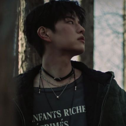 粉丝拍下的Kim Hyunjin瞬间