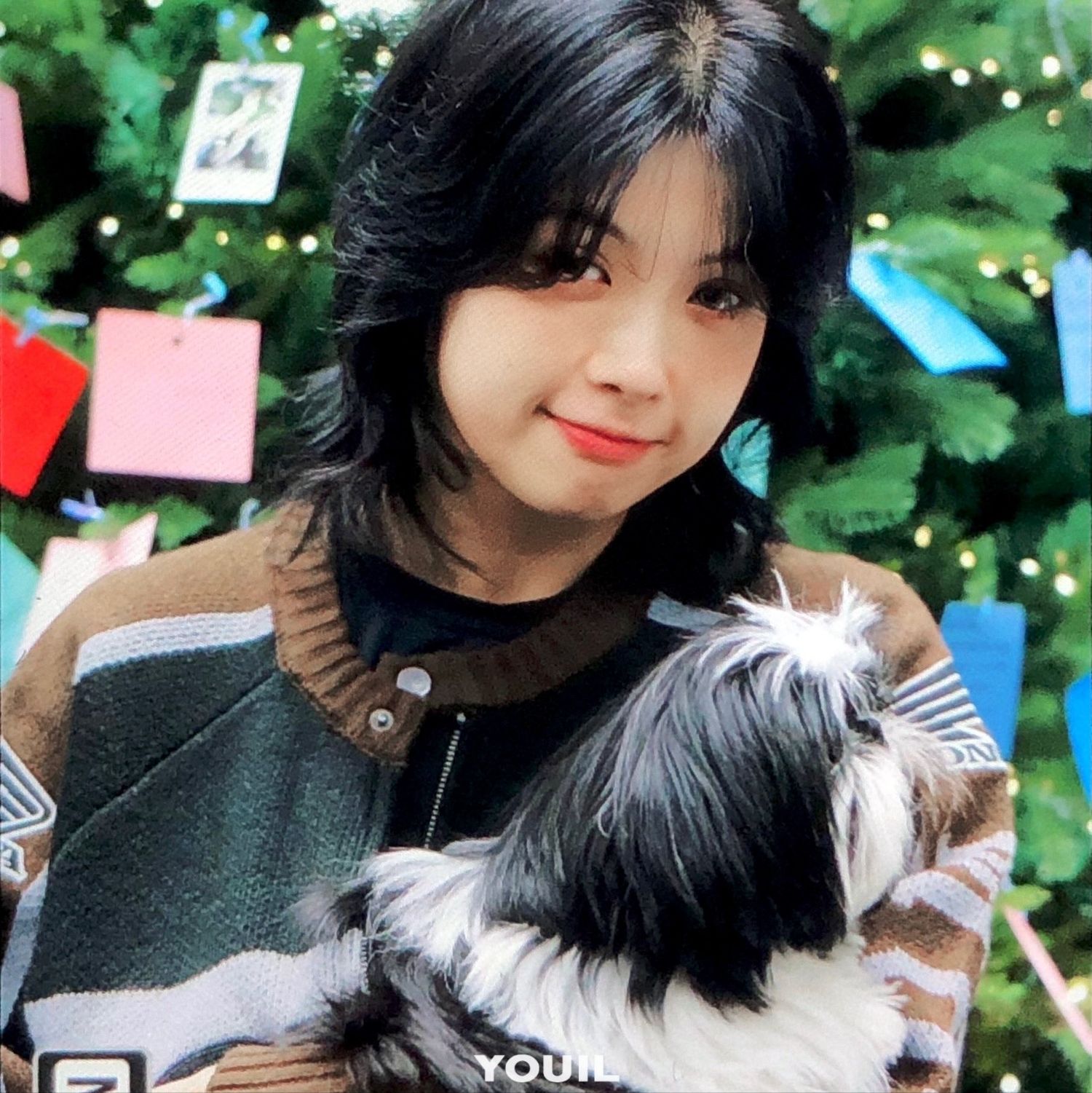 Recent activity shot of Aiki