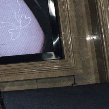 Recent activity shot of Bona