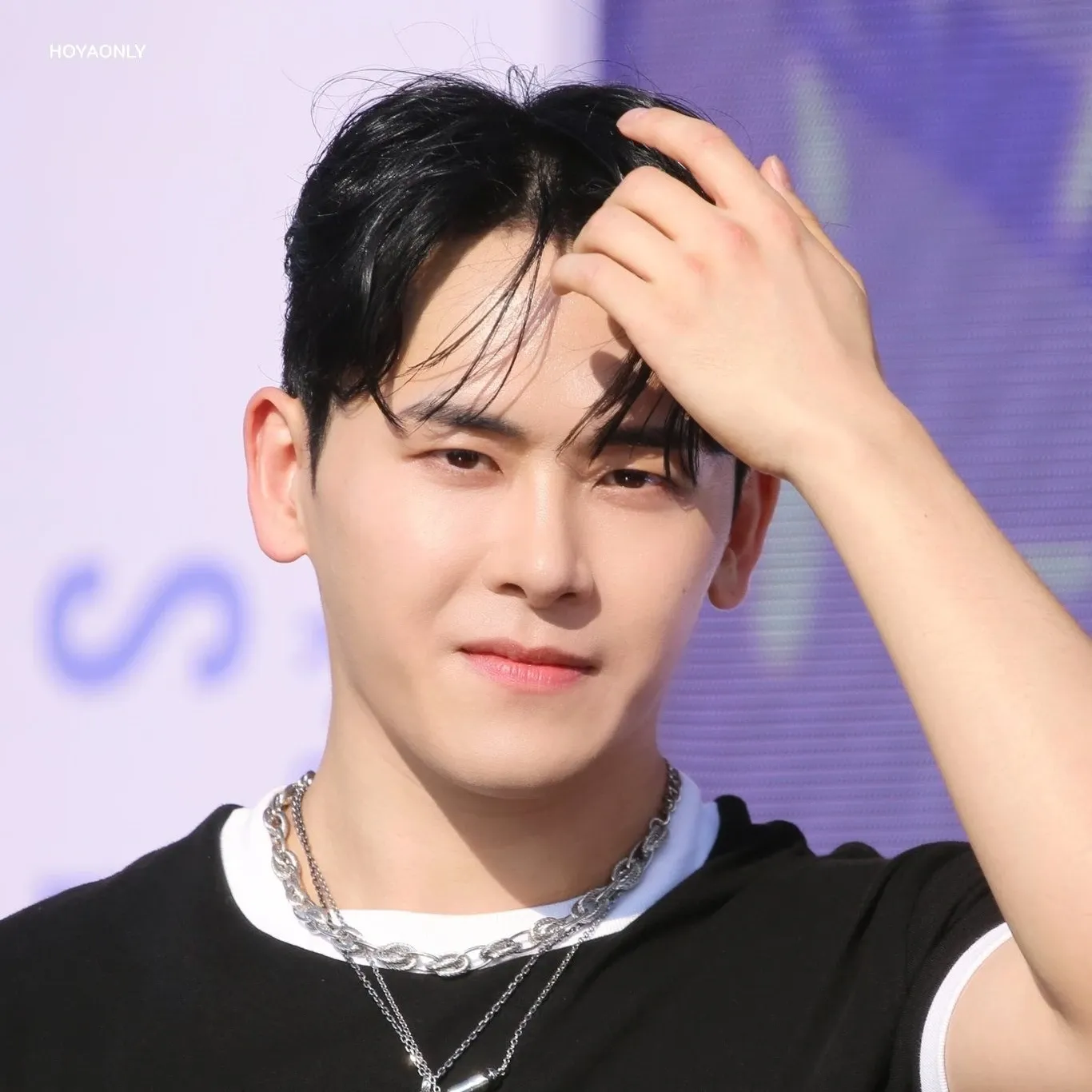 Recent activity shot of Hoya