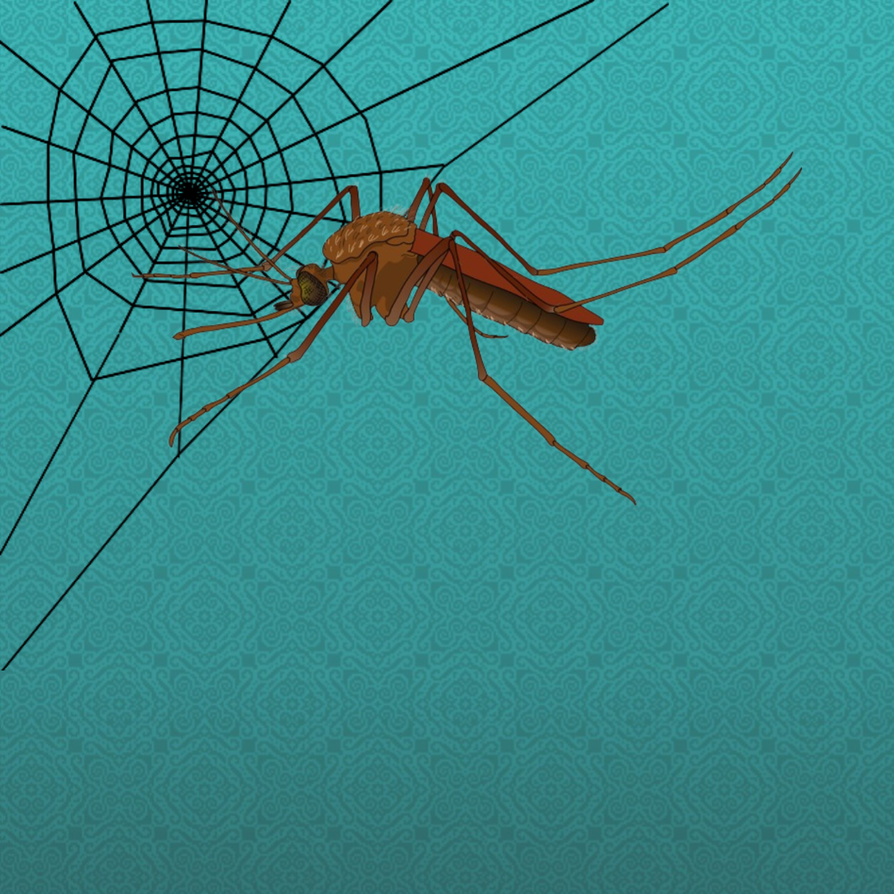 Latest photo of Miss Kim