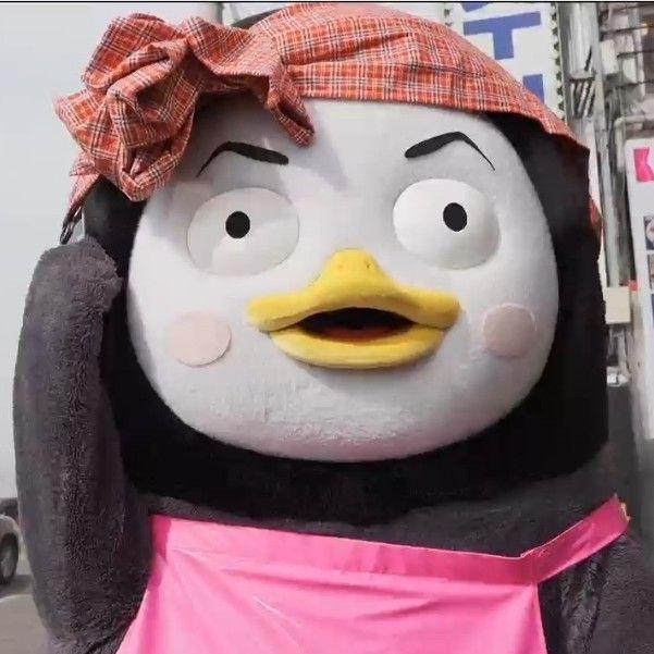 朋秀的最新照片