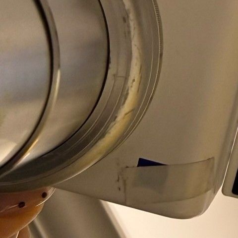 Recent activity shot of Bona