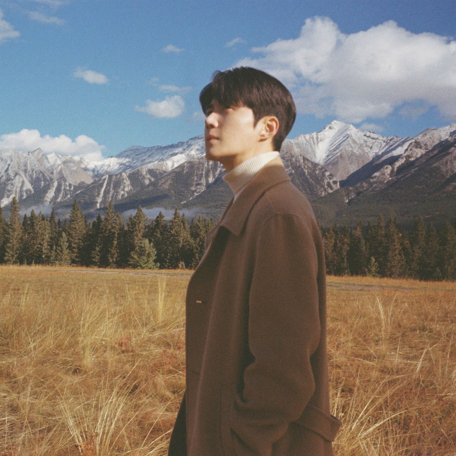 金宣虎的近期活动照