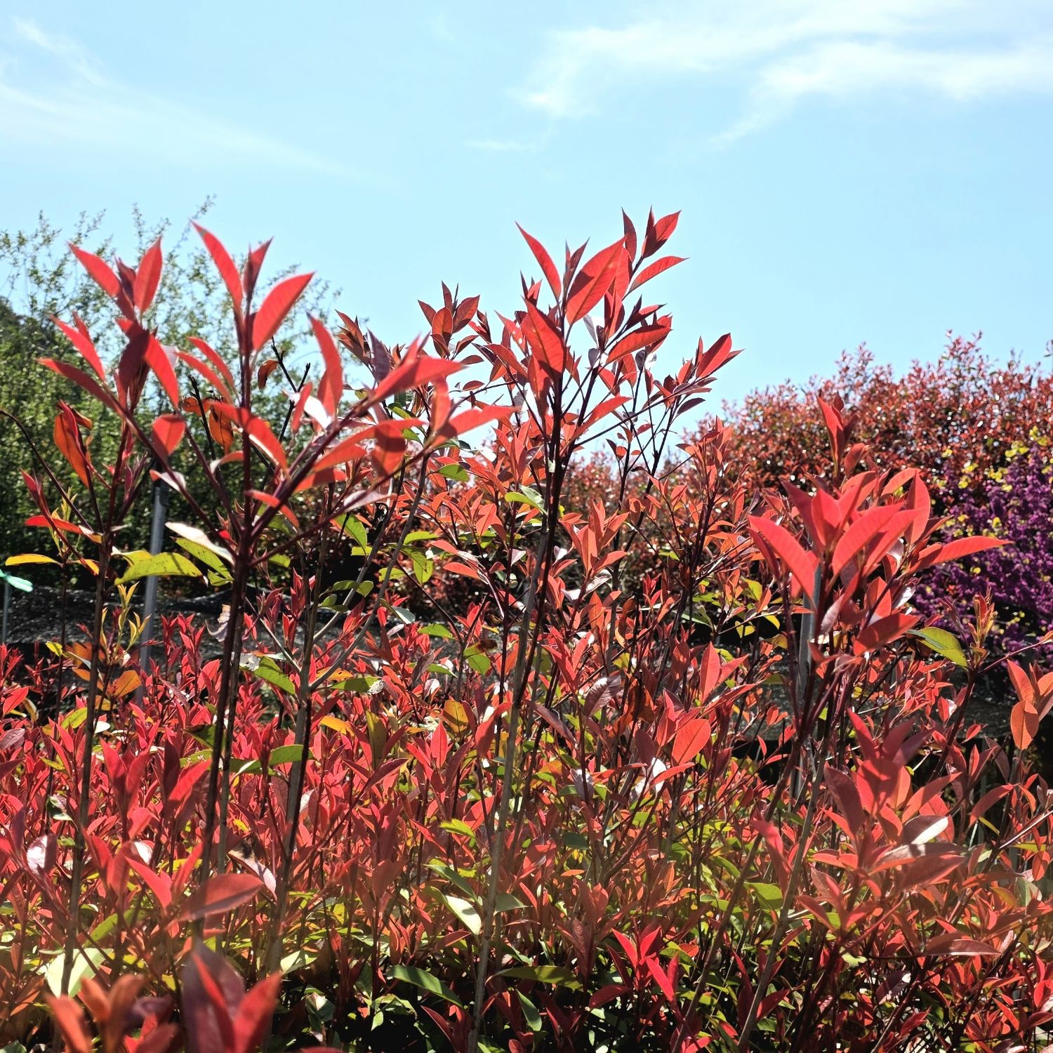 Latest photo of Min Soohyun