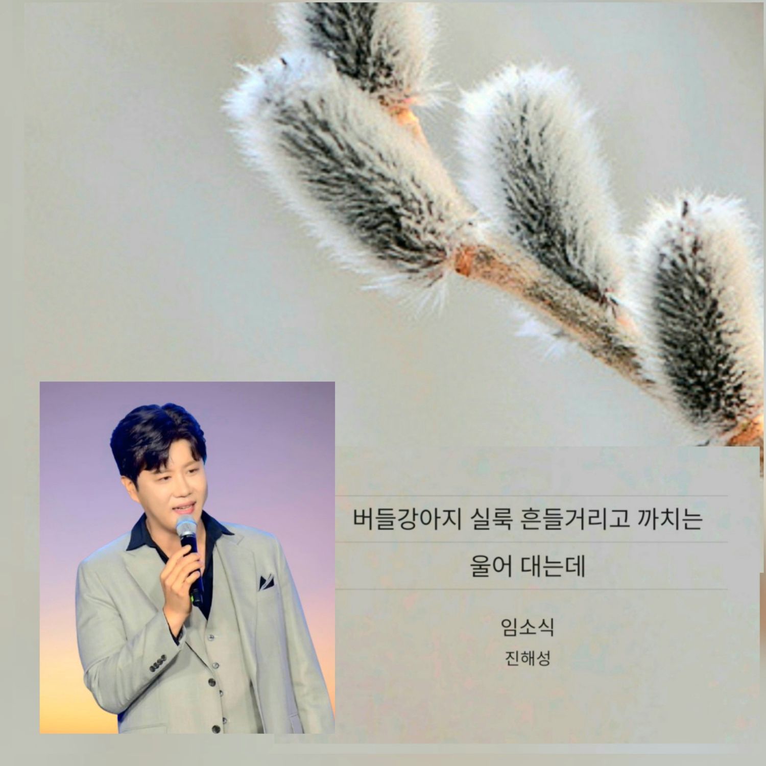 晉海成的近期活動照