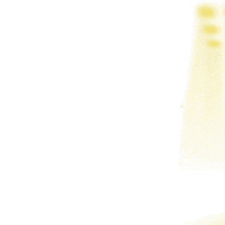 현빈 팬이 찍은 순간