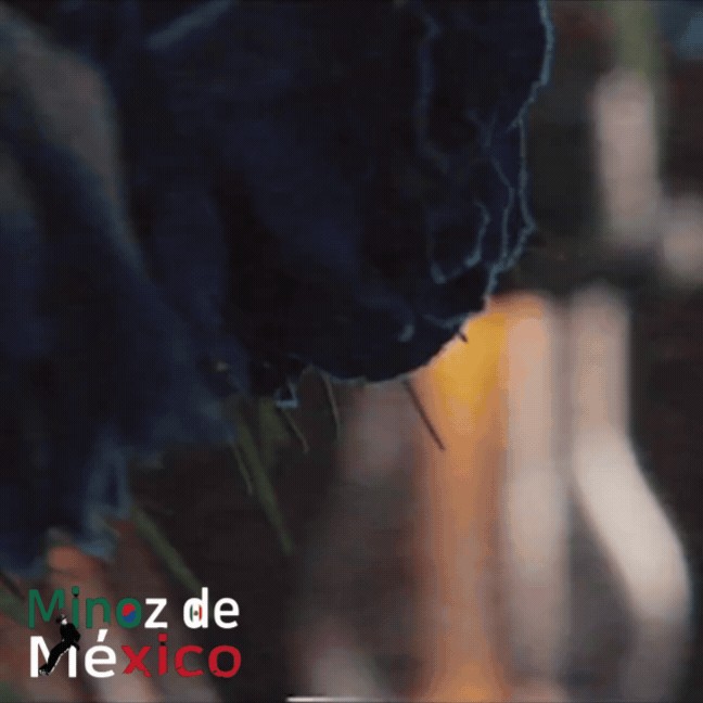 李敏镐的幕后花絮