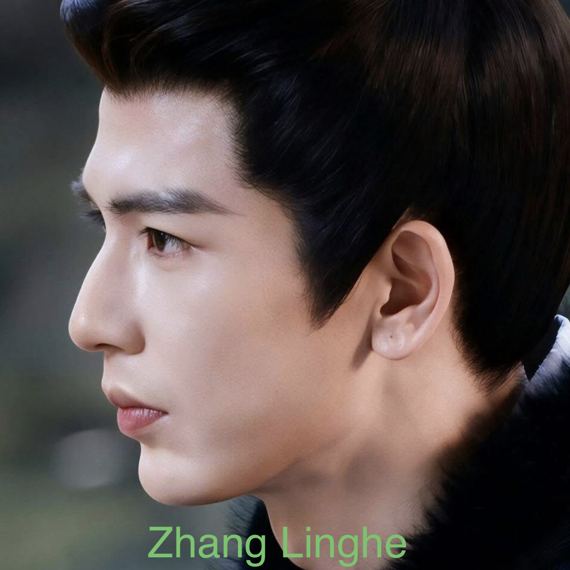 A moment captured by a fan of Zhang Linghe