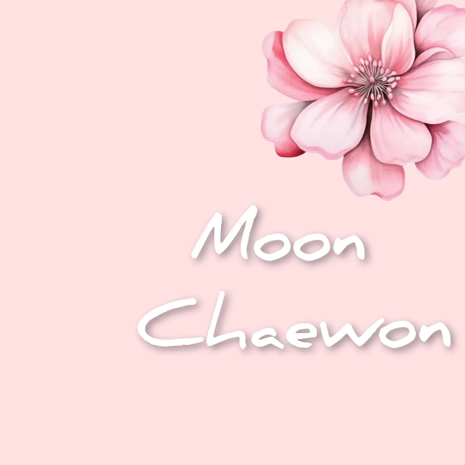 Foto kegiatan terbaru dari Moon Chaewon