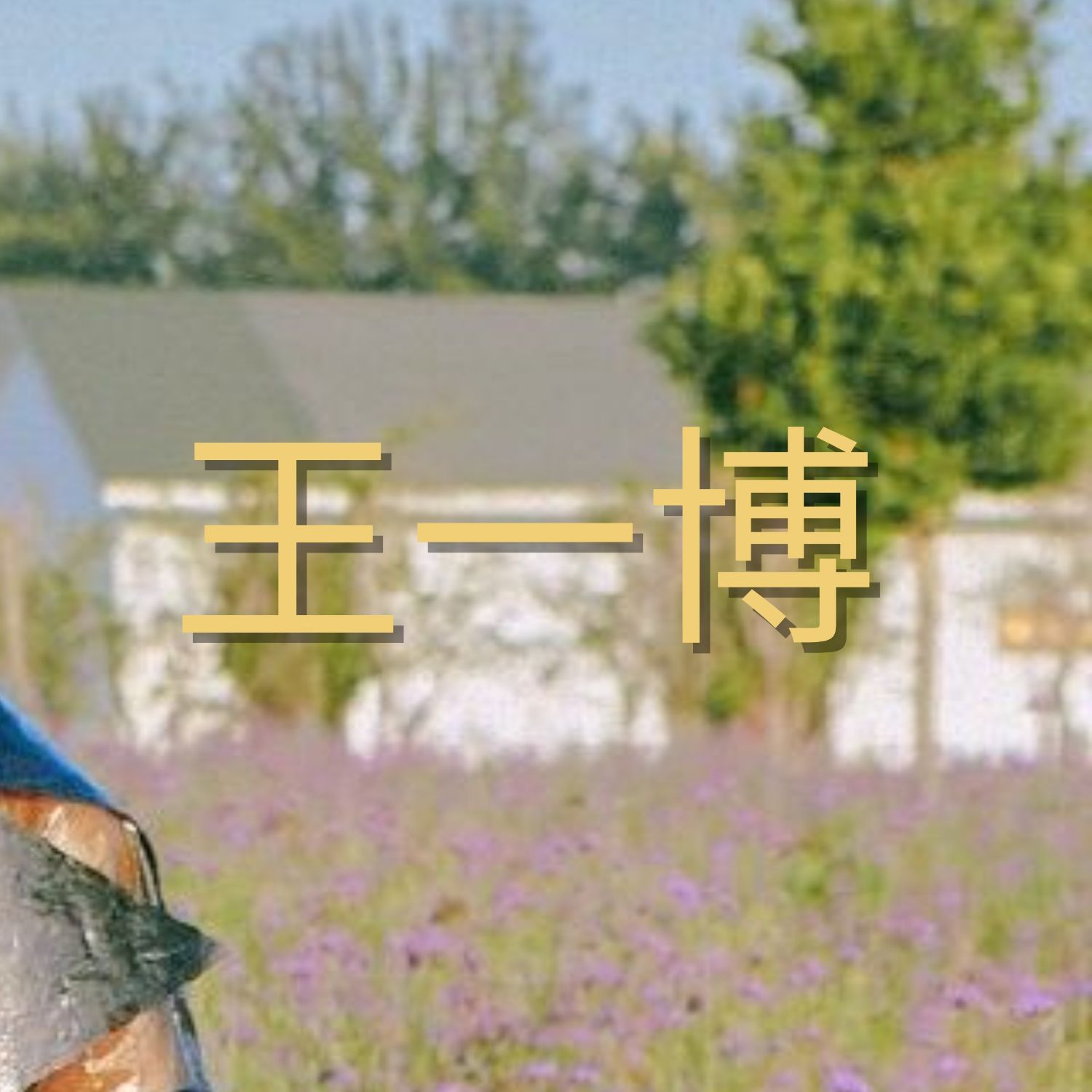 A moment captured by a fan of Wang Yibo