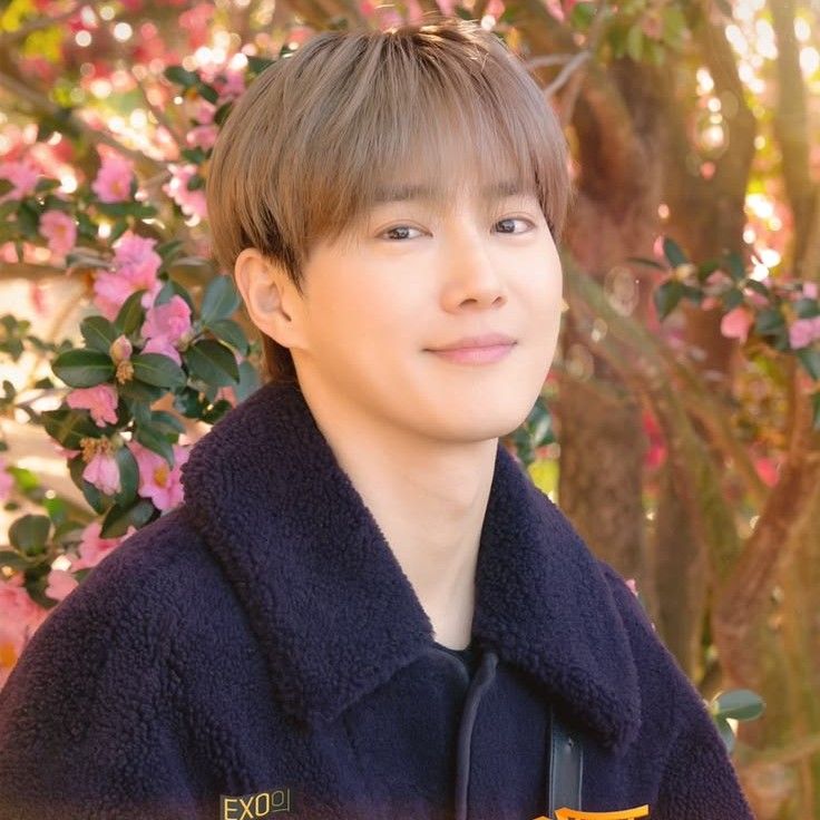 Suho的近期活動照