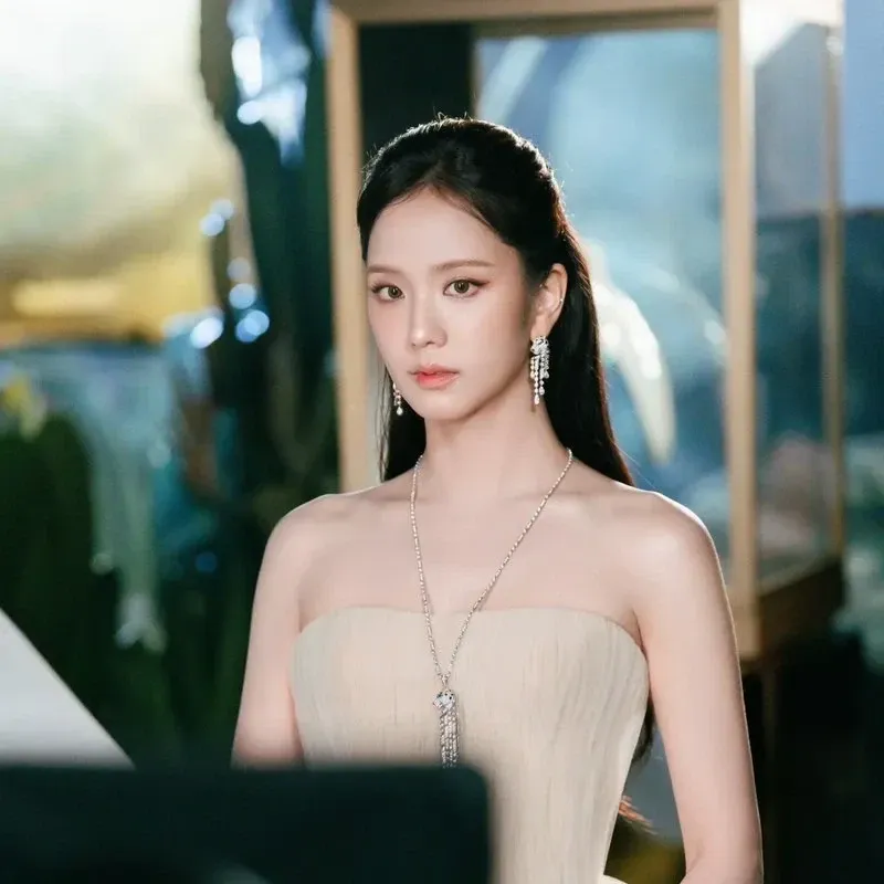 A moment captured by a fan of Jisoo (1995)