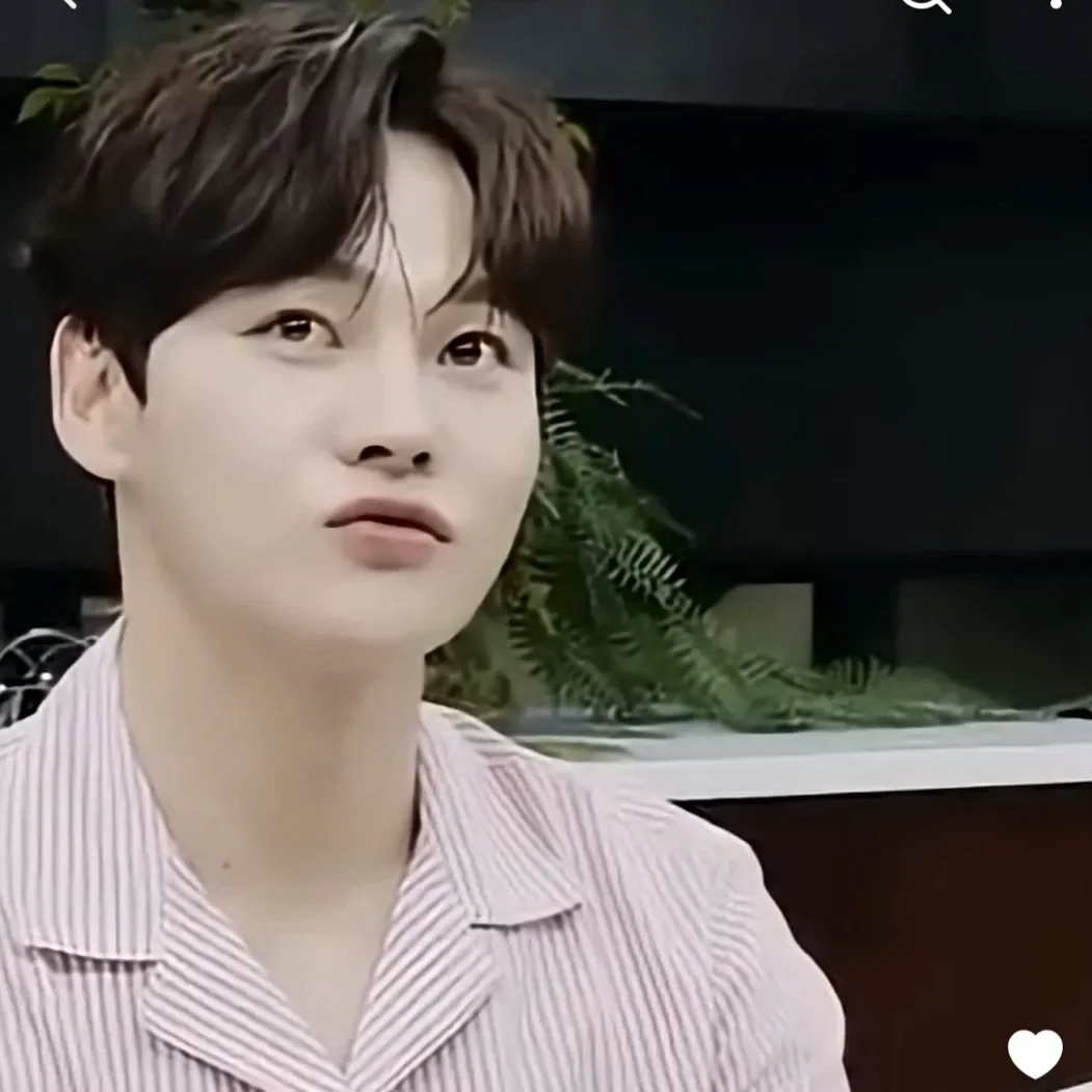 박서진 팬이 찍은 순간