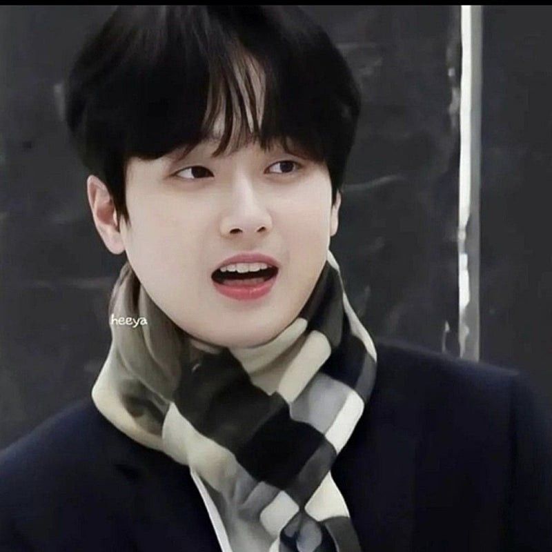 李灿元的最新照片