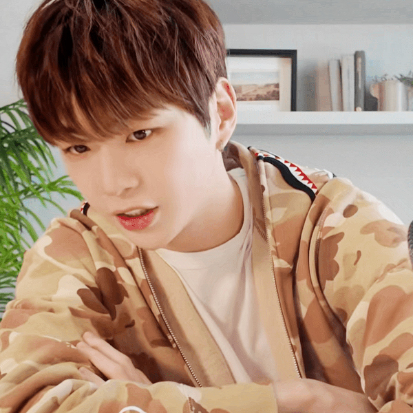 Recent activity shot of Secret Garden