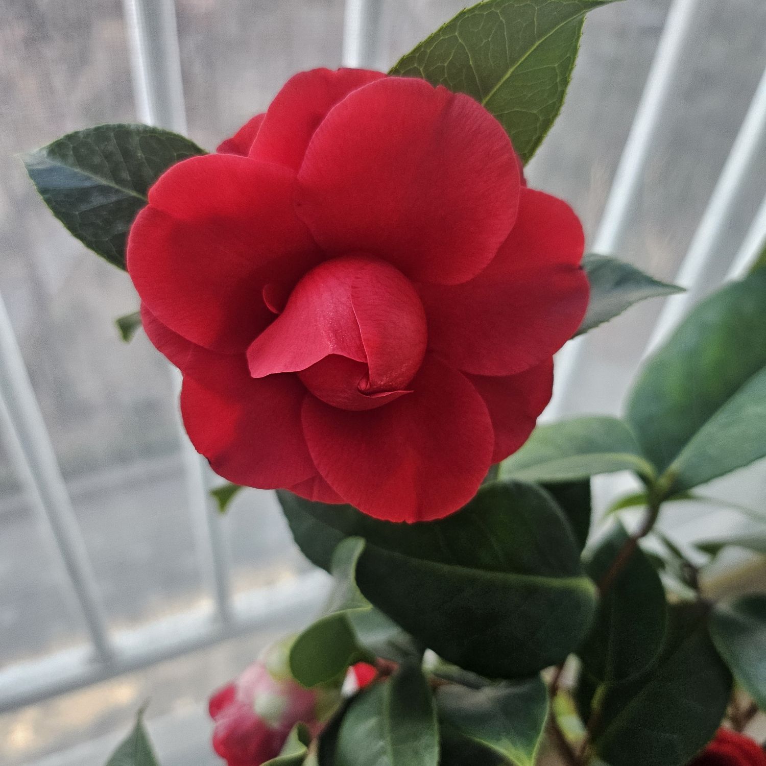 金浩中的最新照片