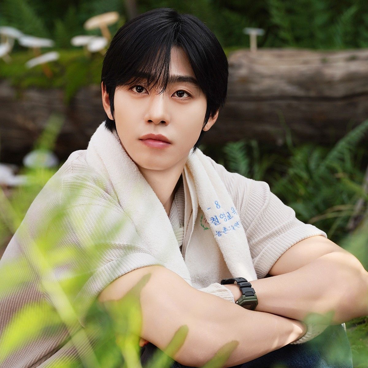 安孝燮的近期活动照