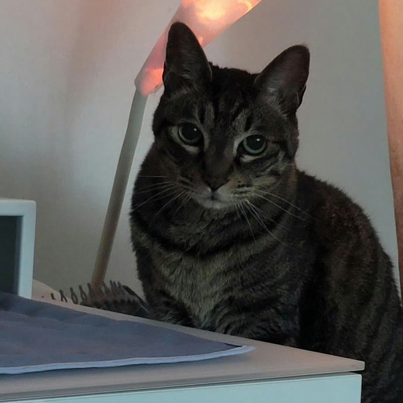 Foto kegiatan terbaru dari Rowoon