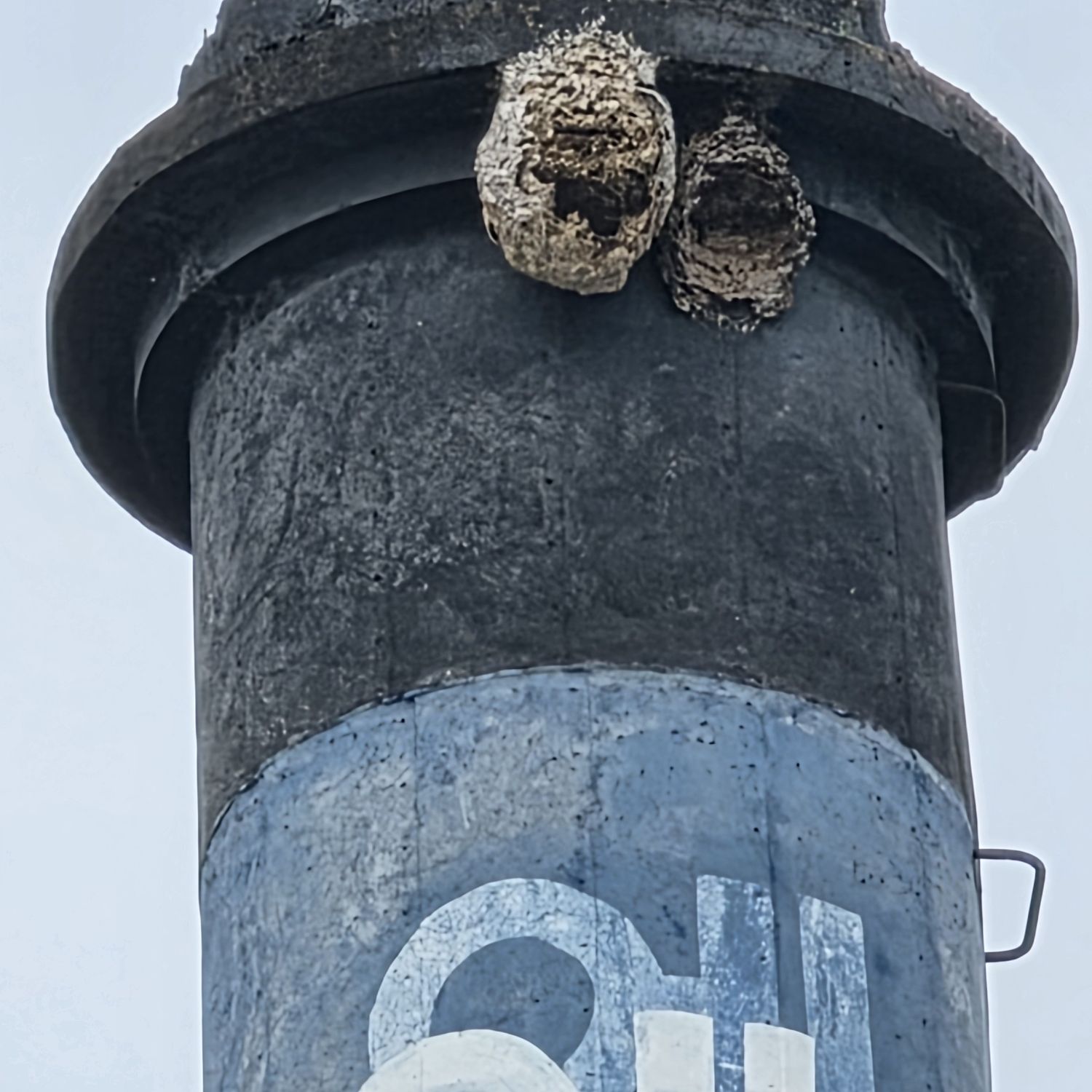 イ・チャンウォンの最近の活動ショット