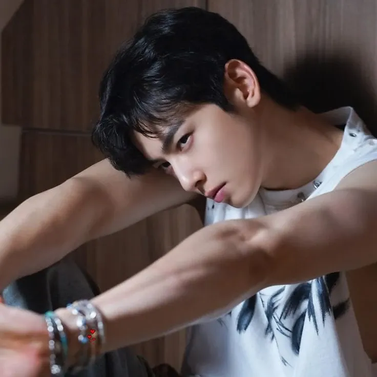 Behind-the-scenes cut of Cha Eunwoo