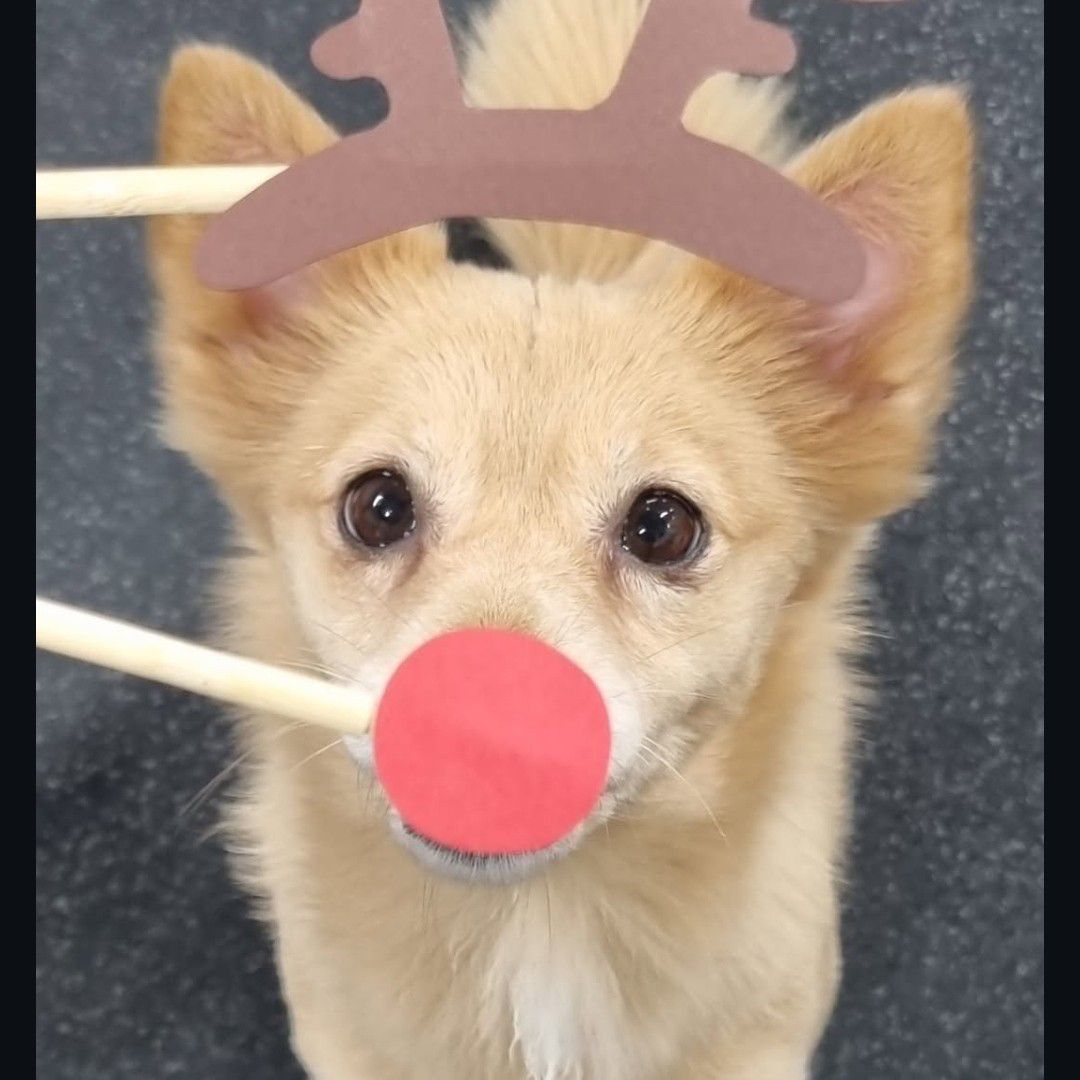 Latest photo of Dahyun